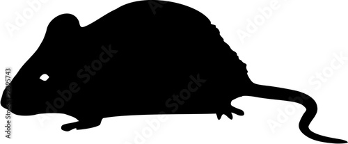 Mouse silhouette