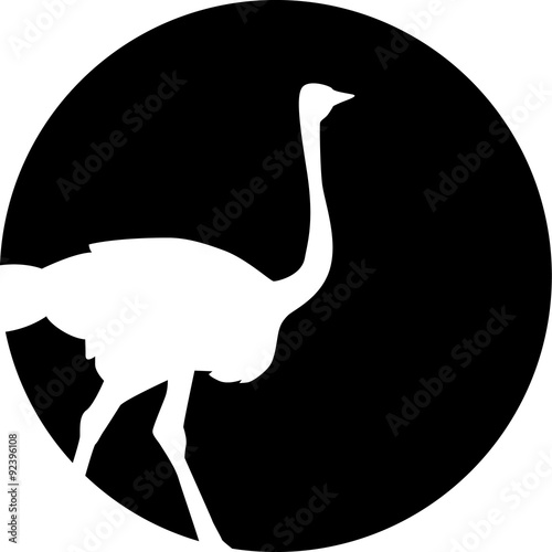 Ostrich silhouette in front of the moon