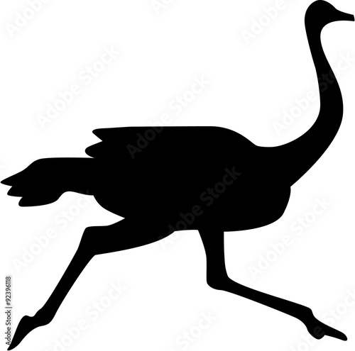 Running ostrich