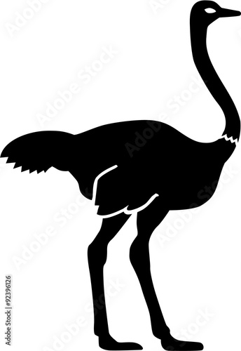 Ostrich silhouette