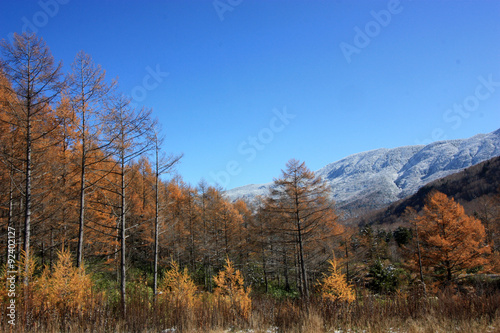 唐松林と岩菅山