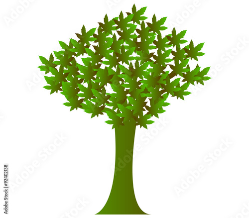 albero