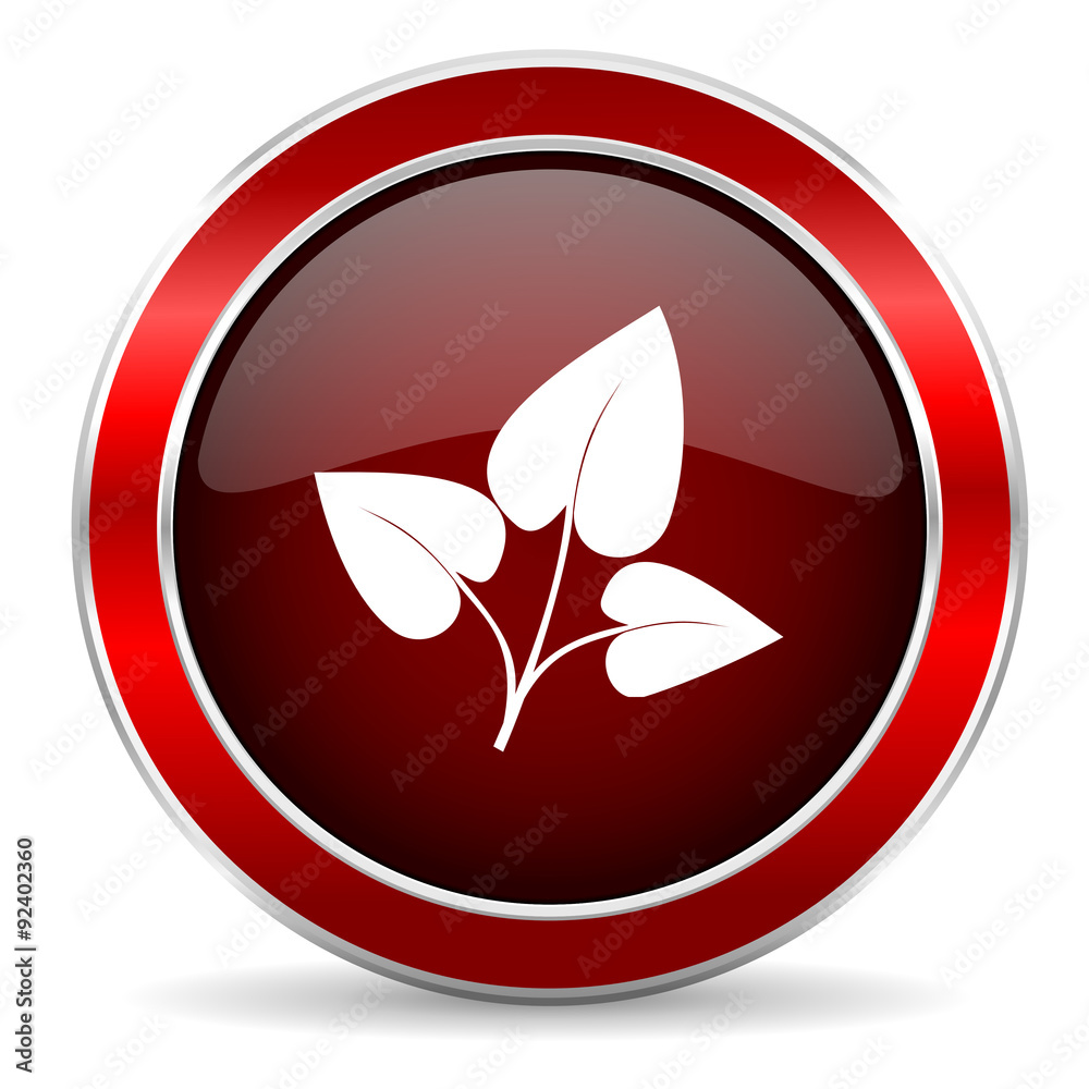 leaf red circle glossy web icon, round button with metallic border leaf red circle glossy web icon, round button with metallic border