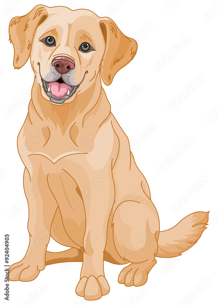 Golden Retriever Golden Retriever