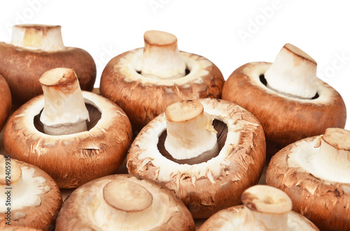 Champignon (True mushroom), isolated on white background