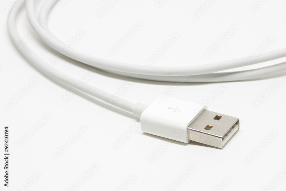 30 Pin USB Charging and Sync white isolate Background
30 Pin USB Charging and Sync white isolate Background