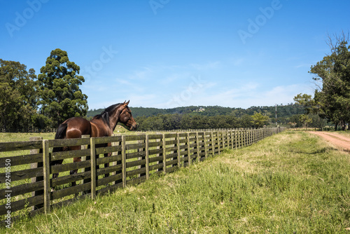 Fototapeta Naklejka Na Ścianę i Meble -  Classic view countryside in Maldonado Department of Uruguay