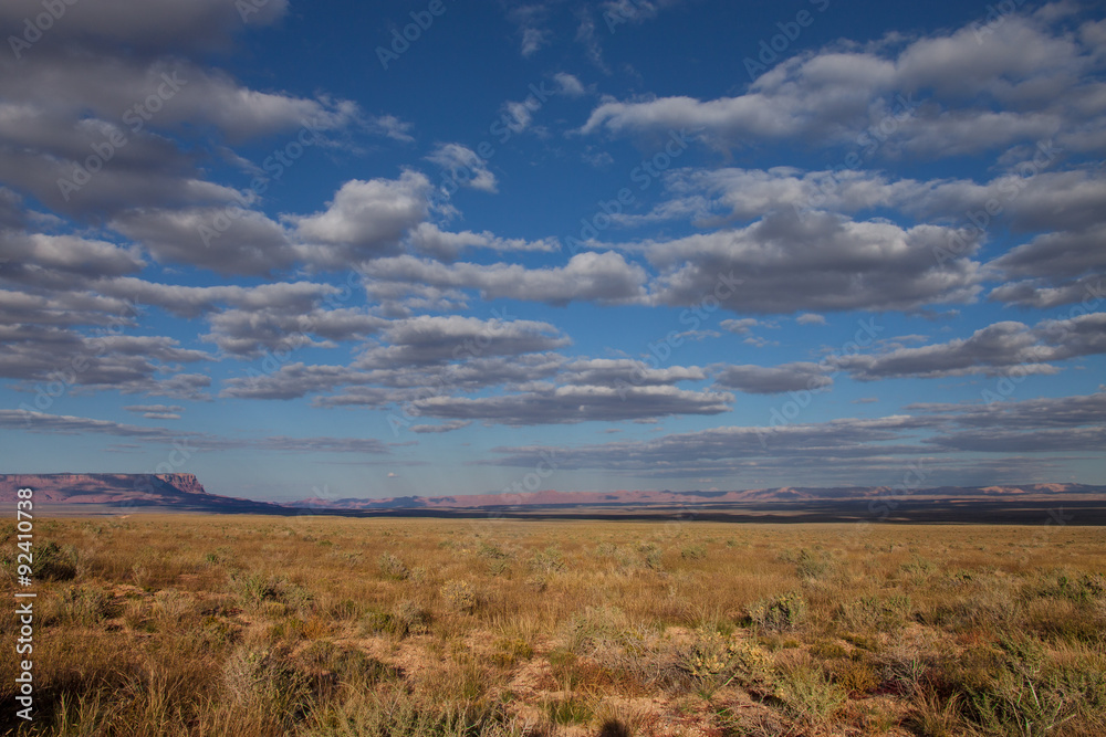 Grand Canyon-North Rim-Saddle Mountain Wilderness. View of Vermillion Cliffs along Saddle Mountain Road heading into the Wilderness. Grand Canyon-North Rim-Saddle Mountain Wilderness. View of Vermillion Cliffs along Saddle Mountain Road heading into the Wilderness.