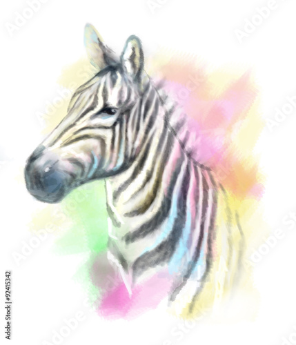 Zebra abstract portrait  colored