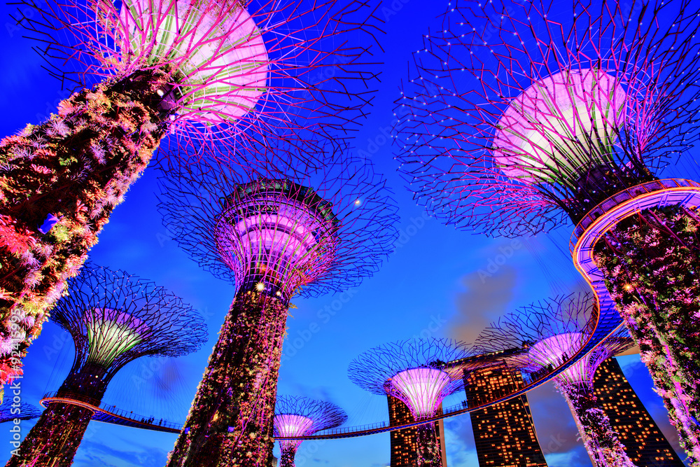 Obraz premium Gardens by the Bay at Dusk, Singapore