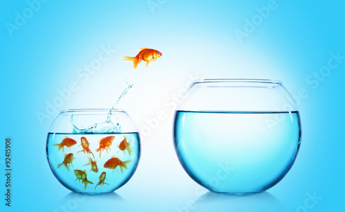 Goldfish jumping from glass aquarium on blue background