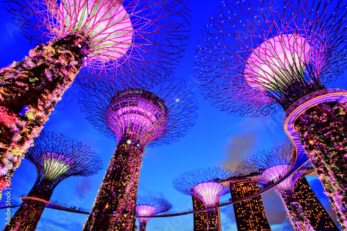 Gardens by the Bay at Dusk, Singapore