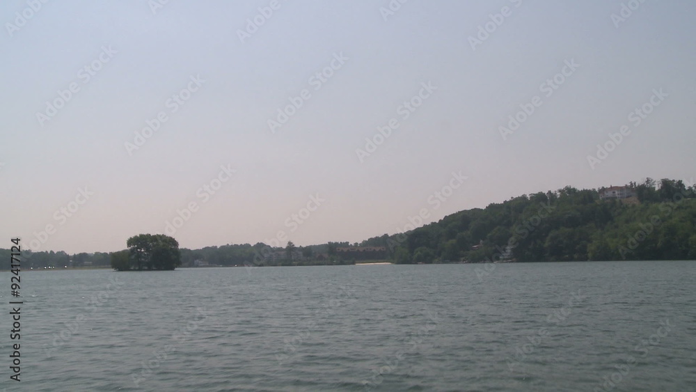 A clump of trees in the center of the river A clump of trees in the center of the river