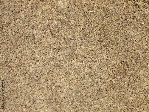 Fototapeta Naklejka Na Ścianę i Meble -  Dry grass land background