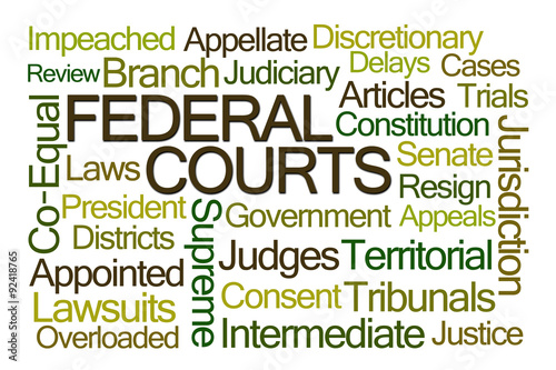 Federal Courts Word Cloud