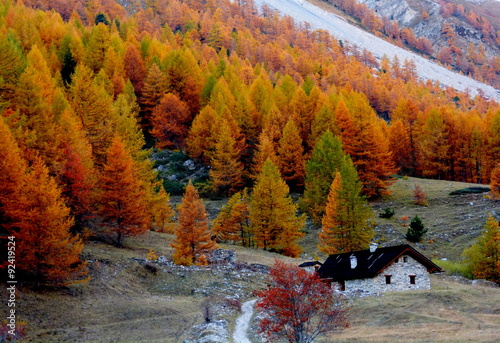 La baita incantata e i boschi colorati Valle Stretta Francia photo