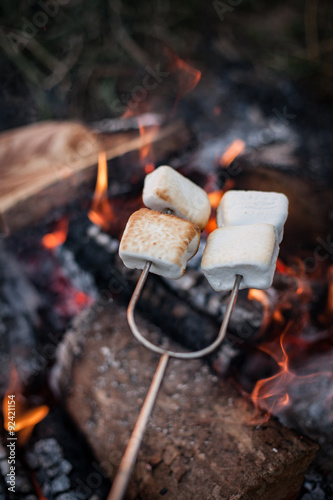 Smores over a fire