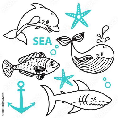 vector hand draw cattoon whale, fish, dolphin, star and shark. Vector illustration photo