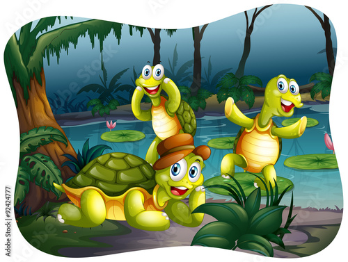 Fototapeta Naklejka Na Ścianę i Meble -  Three turtles living by the pond