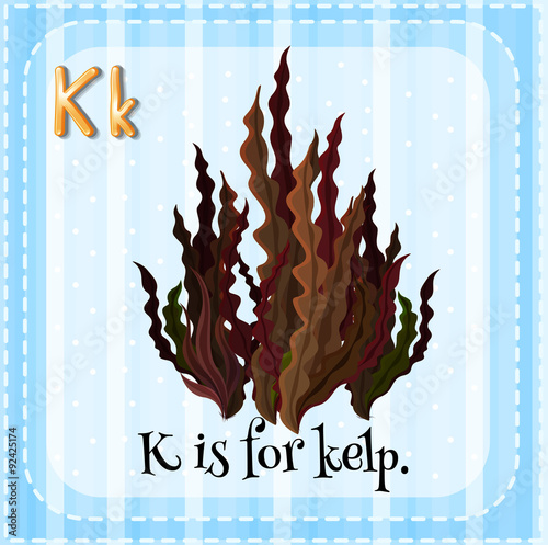 Flashcard letter K is for kelp