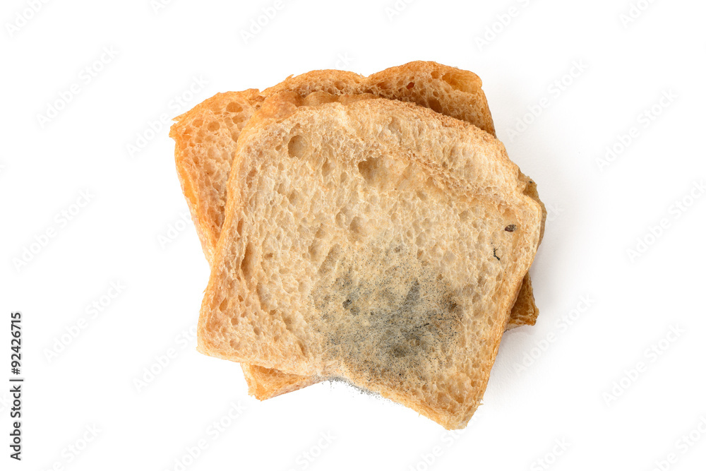 black mold on a bread