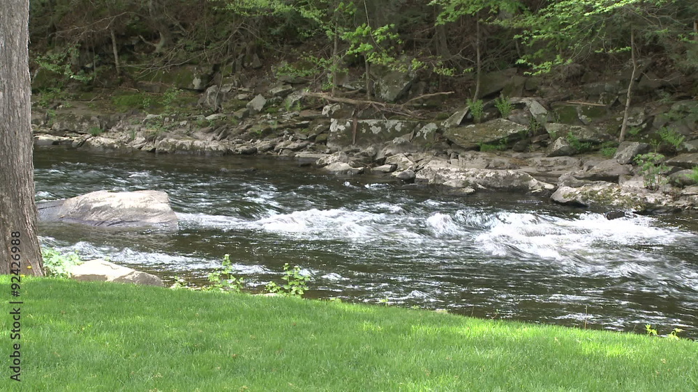 View of stream and portion of field View of stream and portion of field
