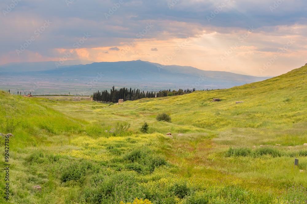 Fototapeta premium Scenery view of grass valley with mountains