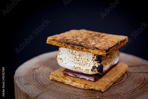 Smores on a log