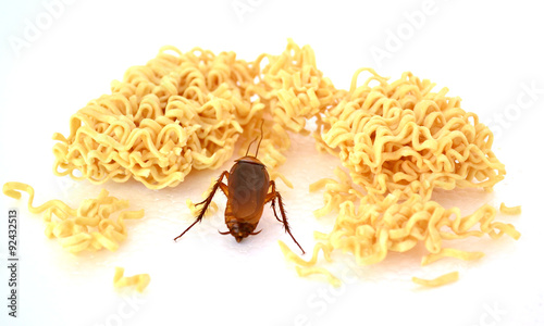 Cockroach find small piece noodle