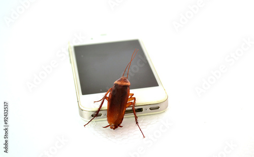 New food of cockroach in technology era
