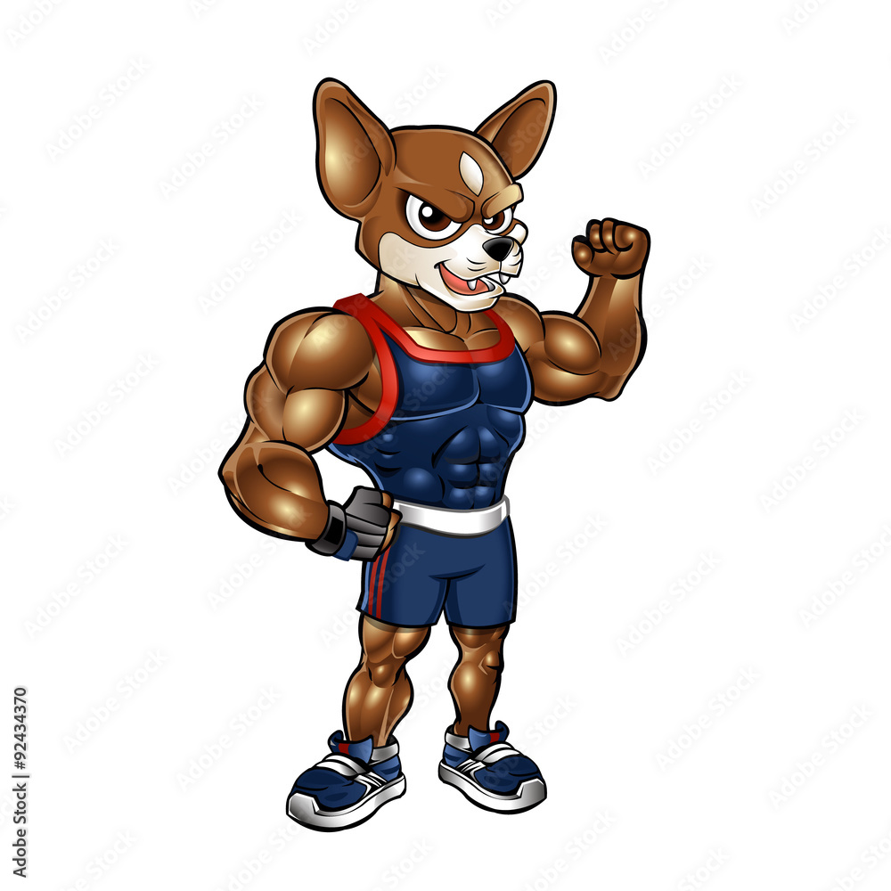 Strong chihuahua outlet