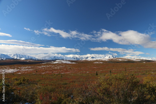 Denali Nationalpark