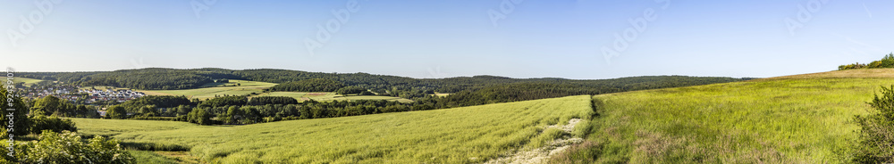 rural landscape with forest and green fields