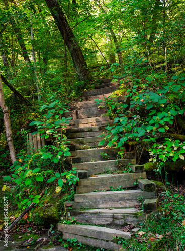 Woods Stair