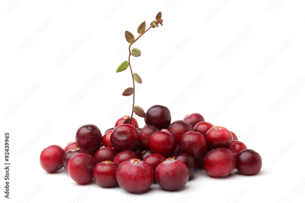 Obraz premium Ripe cranberries with leaves