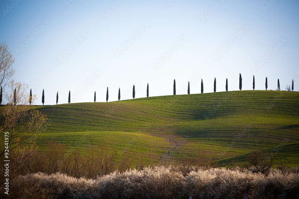 Val d'Orcia in Tuscany, Italy