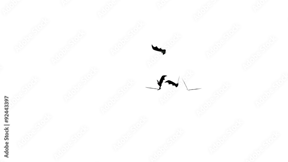 Bats flying isolated on white background
