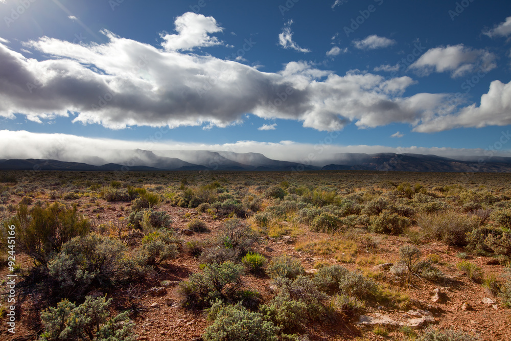 Grand Canyon-North Rim-Saddle Mountain Wilderness. View of snow-capped mountains along Saddle Mountain Road heading into the Wilderness Grand Canyon-North Rim-Saddle Mountain Wilderness. View of snow-capped mountains along Saddle Mountain Road heading into the Wilderness