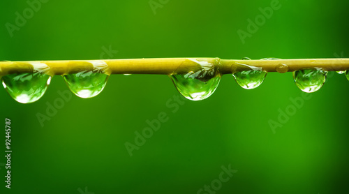 nature background, selective focus