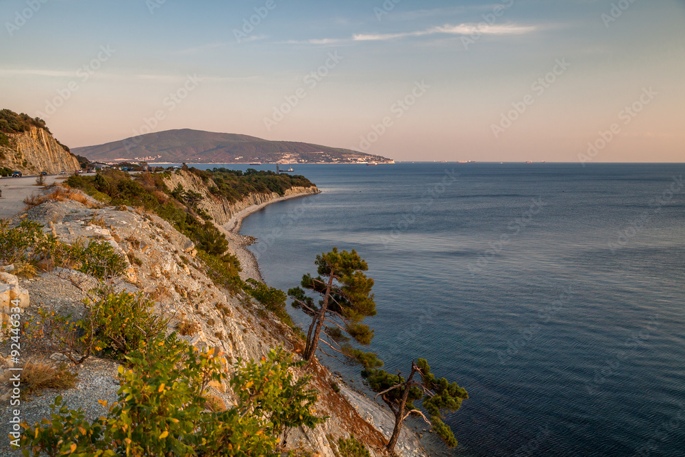 Сосны на скалистом берегу Черного моря