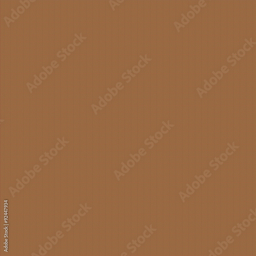 the colored pixels in the texture
