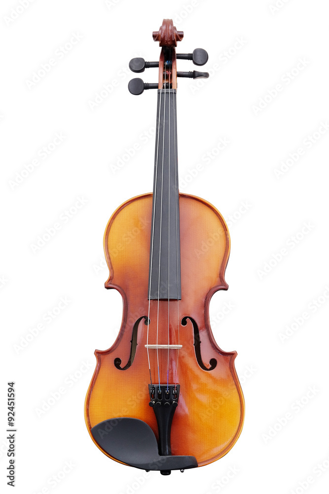 Obraz premium violoncello isolated under the white background