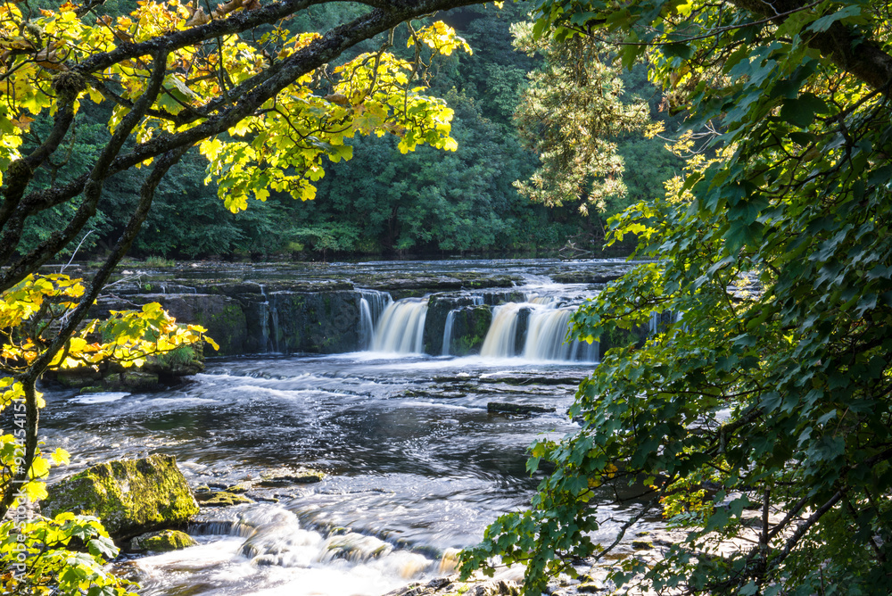 Fototapeta premium Upper falls at Aysgarth, North Yorkshire.