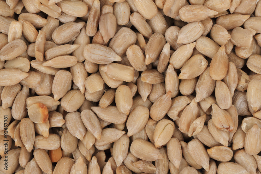 sunflower seed background