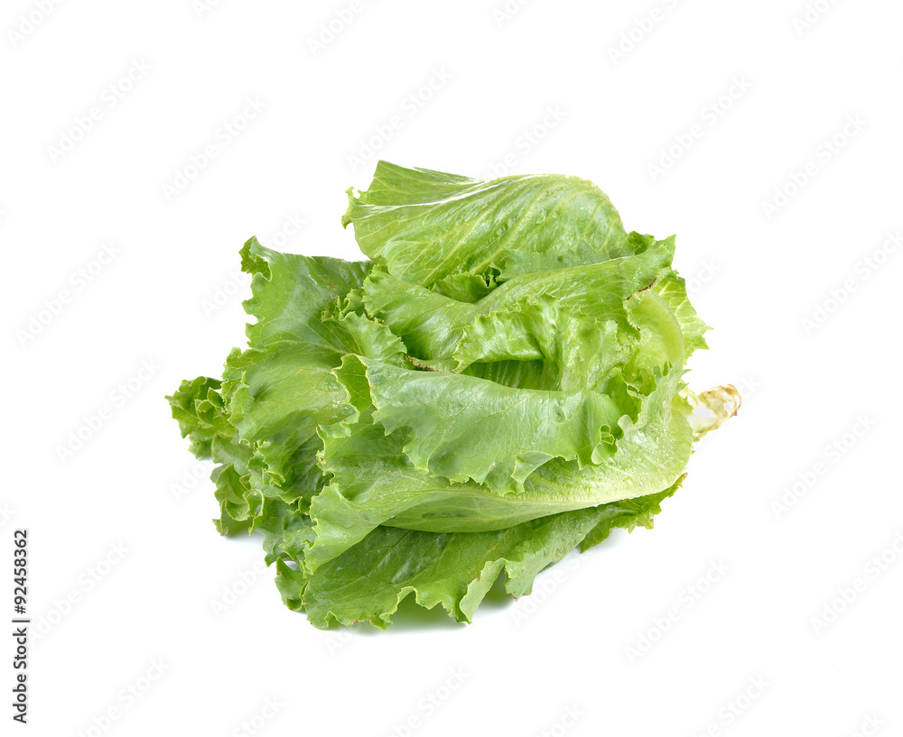 Fresh lettuce isolated on white background Fresh lettuce isolated on white background
