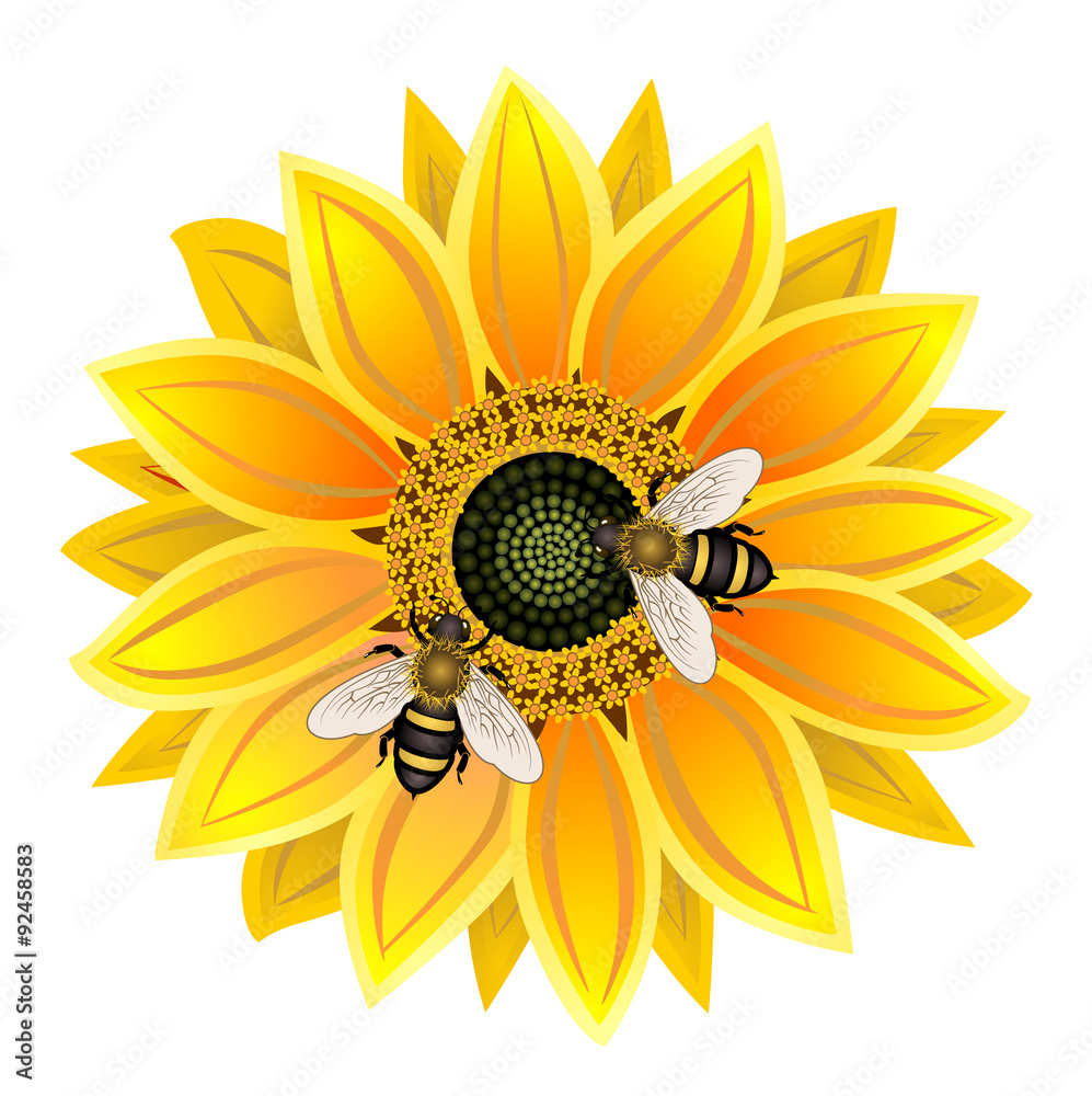 Naklejka premium sunflower and bee