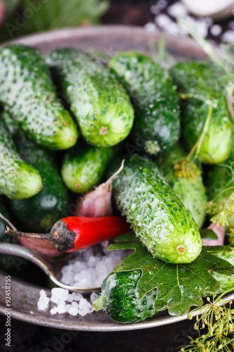 Salted  pickled cucumbers. Harvesting garlic salt herbs and peppers on a black background.selective focus