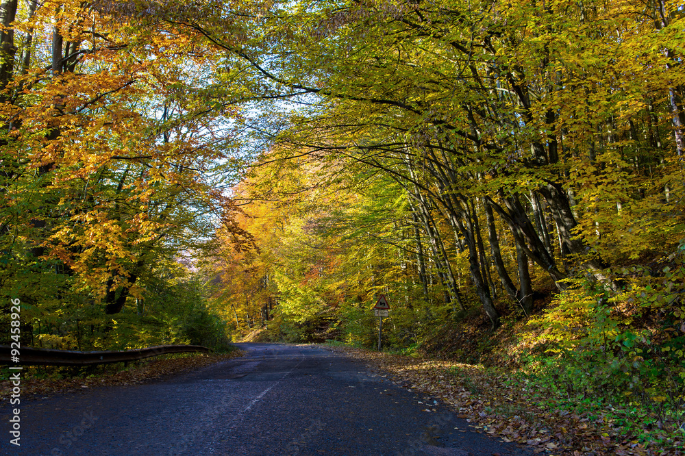 Obraz premium landscape