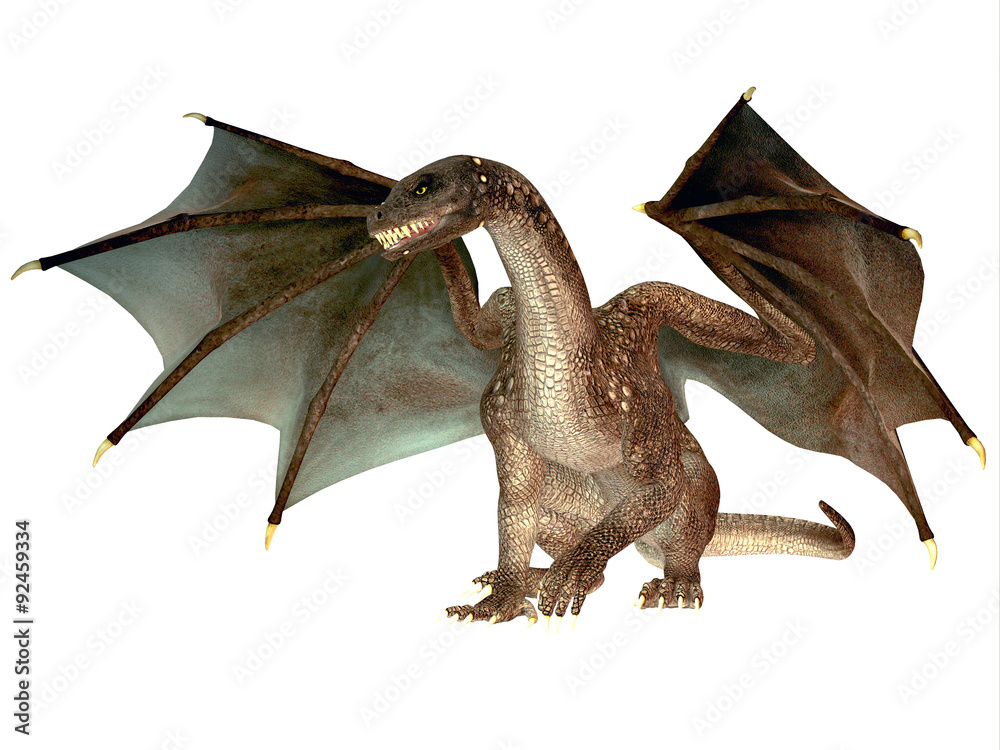 Angry Dragon - The dragon is a legendary creature with reptilian traits and wings featured in myths in many cultures. Angry Dragon - The dragon is a legendary creature with reptilian traits and wings featured in myths in many cultures.