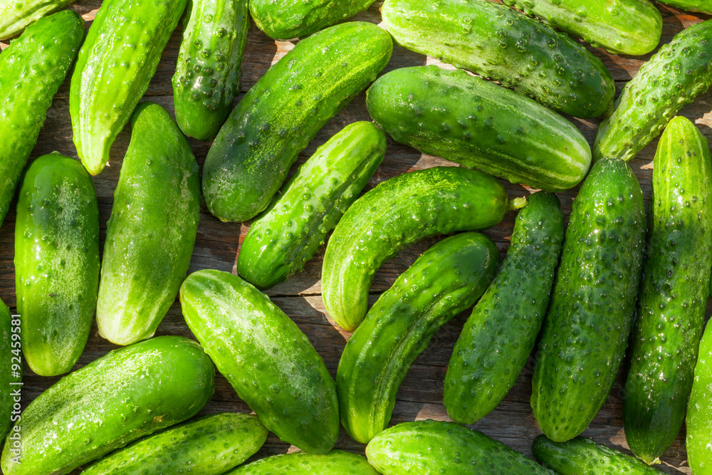 Ripe cucumbers Ripe cucumbers